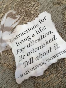 picture of Mary Oliver quote "instruction for living a life: