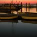 boats in harbor at sunset