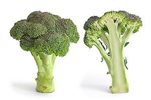 English: Broccoli and its cross section isolat...