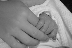 Fingers