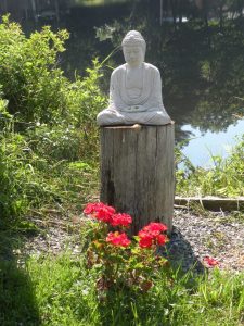 my garden buddha