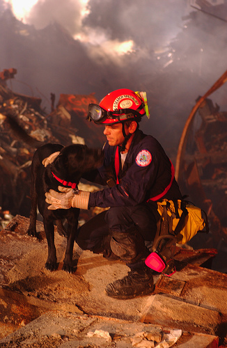 After the violence 9-11 SAR Dogs - FEMA FEMA 5618 (9-11 SAR Dogs)