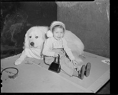 Little girl with big dog