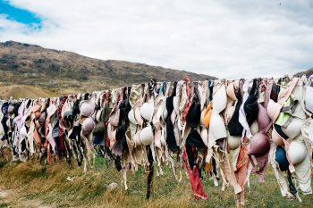 bras on a clothesline -- a freedom women truly understand