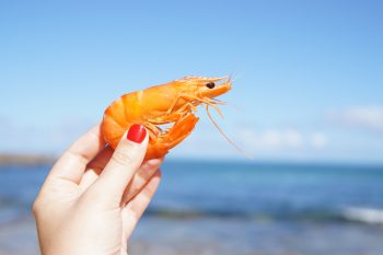 woman's hand holding a shrimp against sky and sea in background
