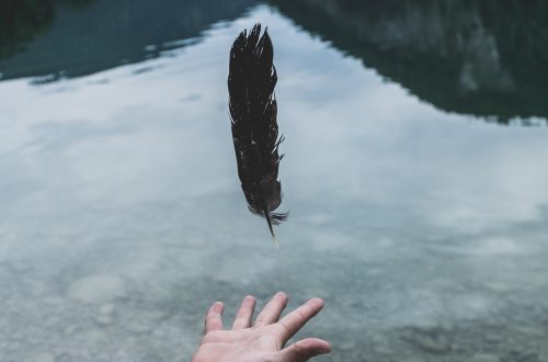 black feather falling on person's hand