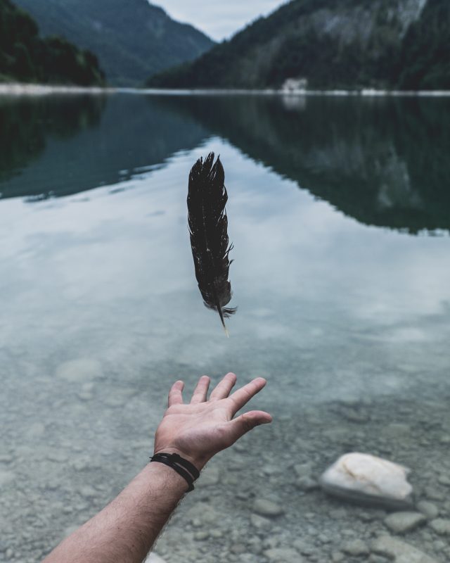 black feather falling on person's hand