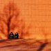 man and woman in black coat sitting against brown wall