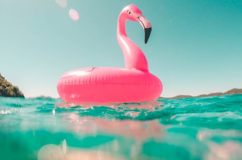 pink flamingo swim ring on body of water in summer
