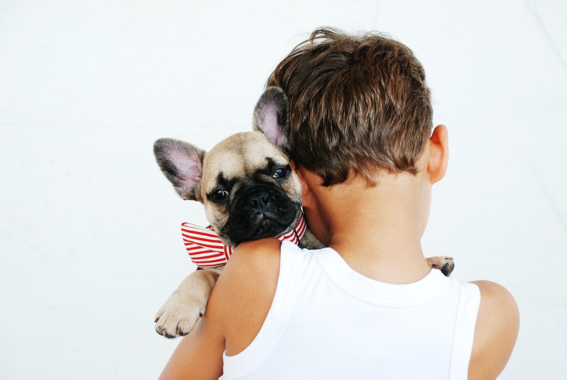 boy hugging fawn pug puppy