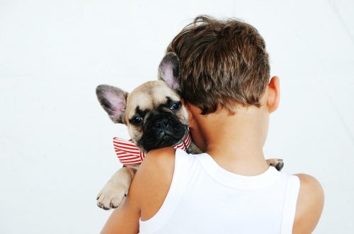 boy hugging fawn pug puppy