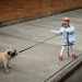 girl pulling the collar of dog during daytime