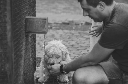 man kneeling beside girl feeding dog in grayscale photograpy