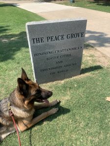 German Shepherd lying next to peace monument