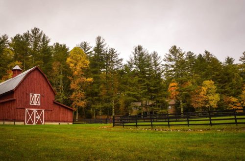 barn surrounded by trees