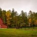 barn surrounded by trees