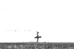 greyscale photo of woman standing on grass field